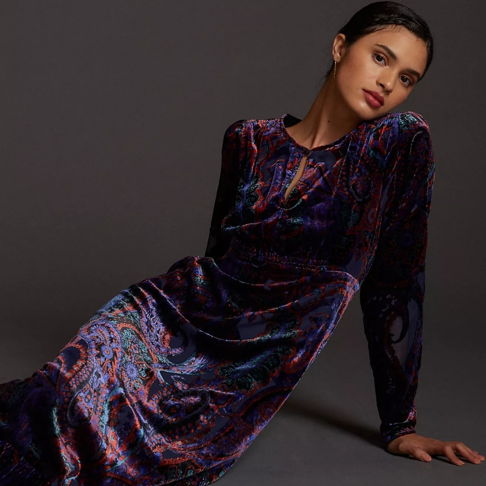 Anthropologie Burnout Velvet Maxi Dress - 4P - NWT